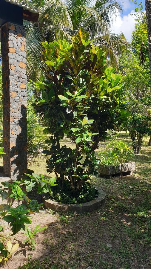 Les Citronniers Bed and Breakfast Ile Sainte-Marie Εξωτερικό φωτογραφία