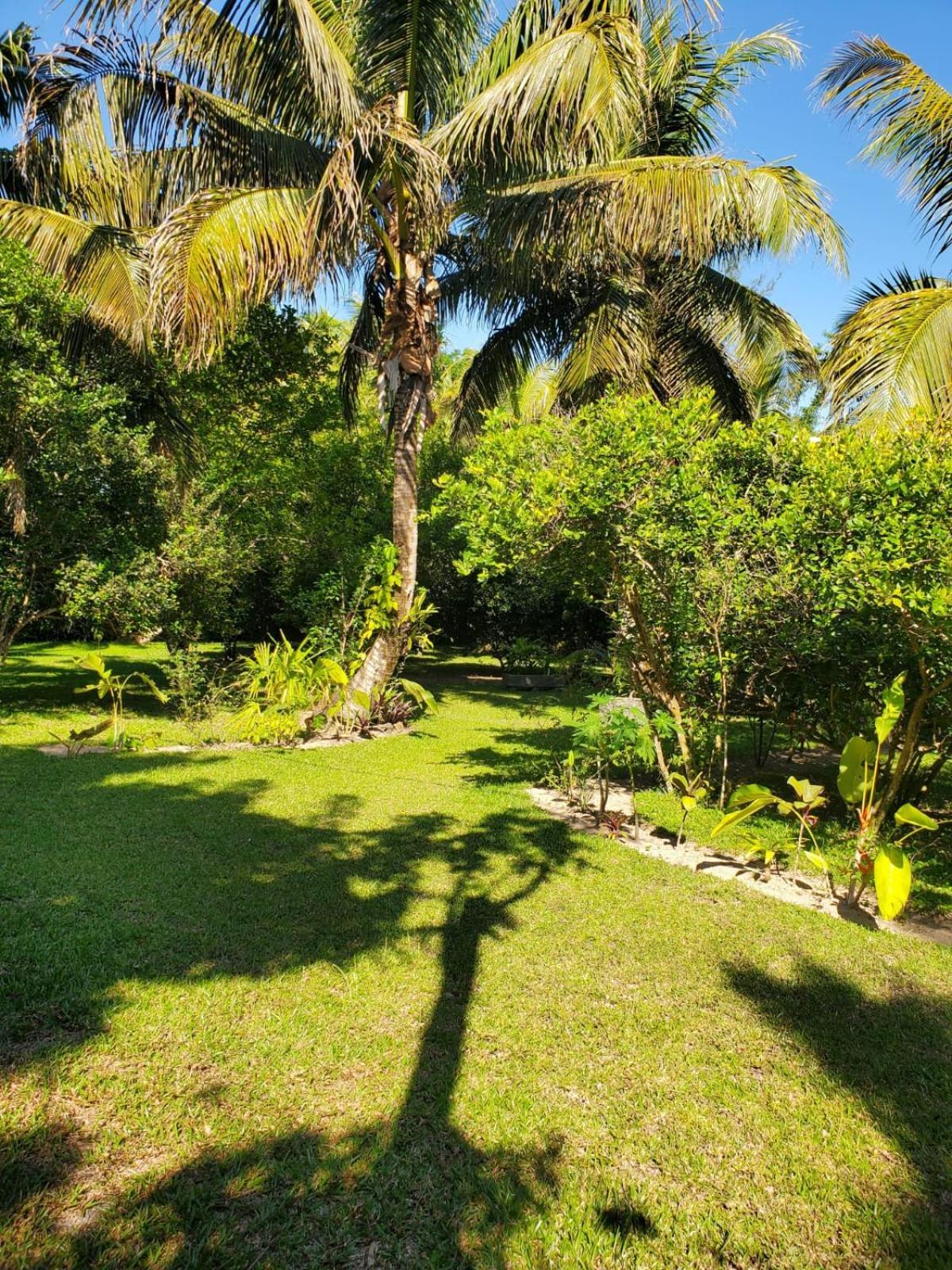 Les Citronniers Bed and Breakfast Ile Sainte-Marie Εξωτερικό φωτογραφία