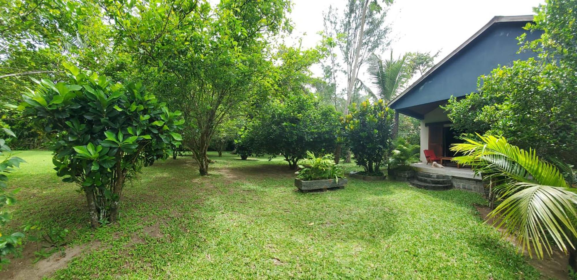 Les Citronniers Bed and Breakfast Ile Sainte-Marie Εξωτερικό φωτογραφία